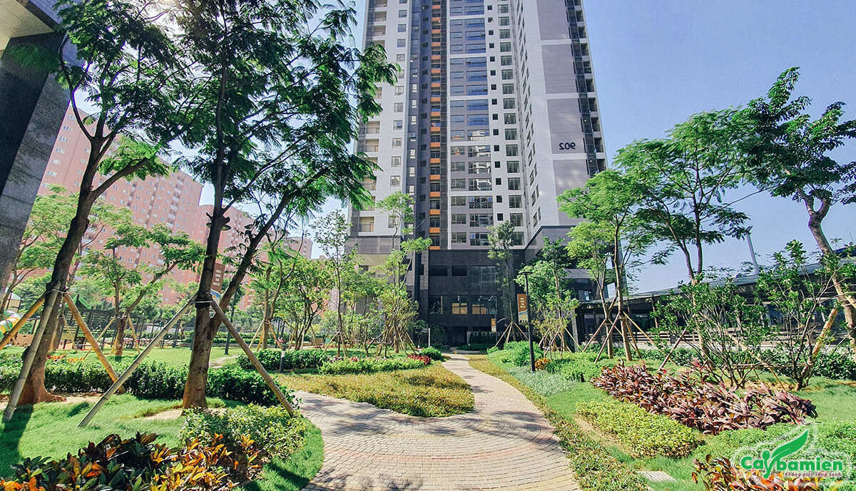 Cảnh quan vườn nội khu căn hộ cao cấp của KĐT Starlke