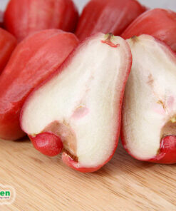 Quả roi vỏ đỏ, bóng mịn, thịt màu trắng xanh, mọng nước