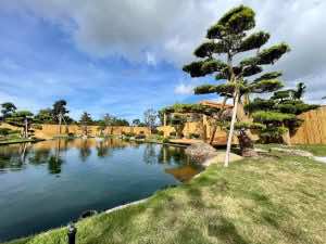 Khuôn viên rộng lớn trong khi đô thị Times City