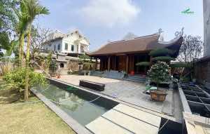 Trồng thi công dự án cây xanh cảnh quan sân vườn nhà thờ họ tại Bắc Ninh