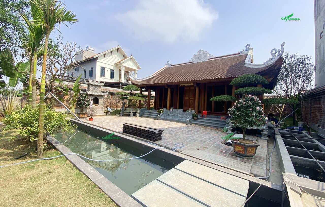 Trồng thi công dự án cây xanh cảnh quan sân vườn nhà thờ họ tại Bắc Ninh