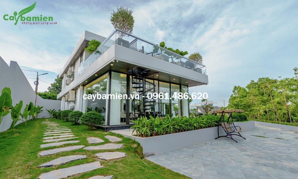 Cây trồng cho biệt thự đẹp