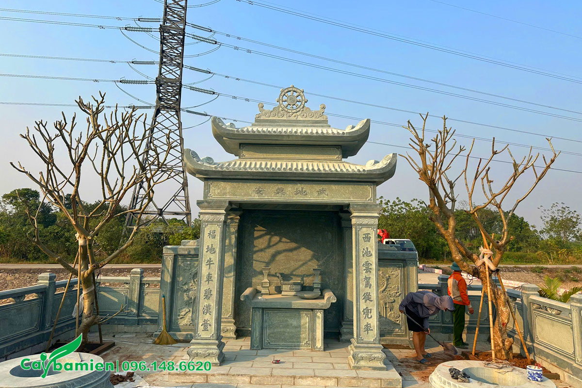 Trồng cây hoa Đại cho khu lăng mộ gia đình ở Thường Tín, Hà Nội