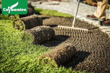 dịch vụ trồng cỏ chuyên nghiệp, chuẩn kỹ thuật