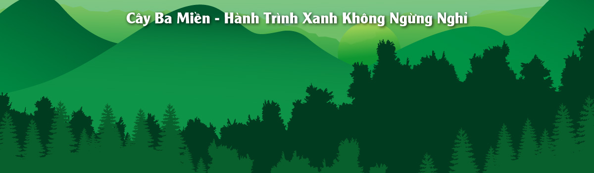 banner trang chủ - hành trình xanh cây ba miền