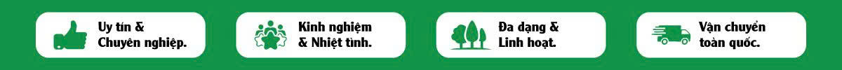 banner ngang footer nói về chất lượn dịch vụ của caybamien