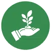 icon ươm trồng mầm cây
