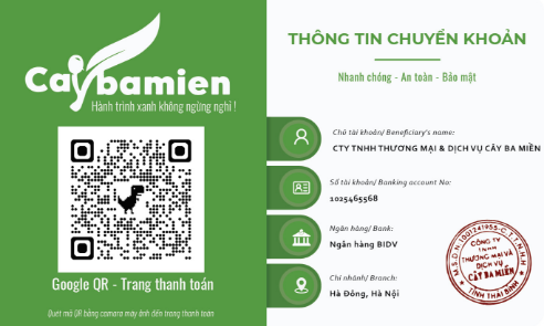 Thông tin tài khoản cá nhân của Cây Ba Miền