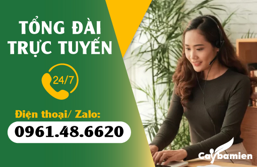 banner sidebar hỗ trợ 24/7 Cây ba miền