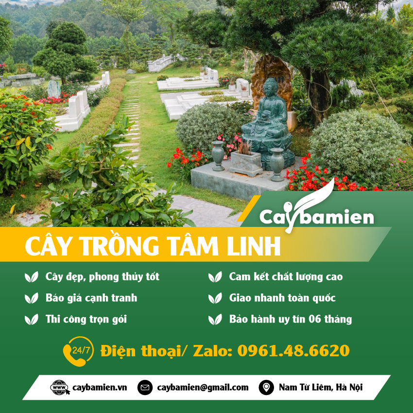 Danh mục cây tâm linh cho các ngôi chùa, đền, đình, nhà thờ, nghĩa trang, lăng mộ