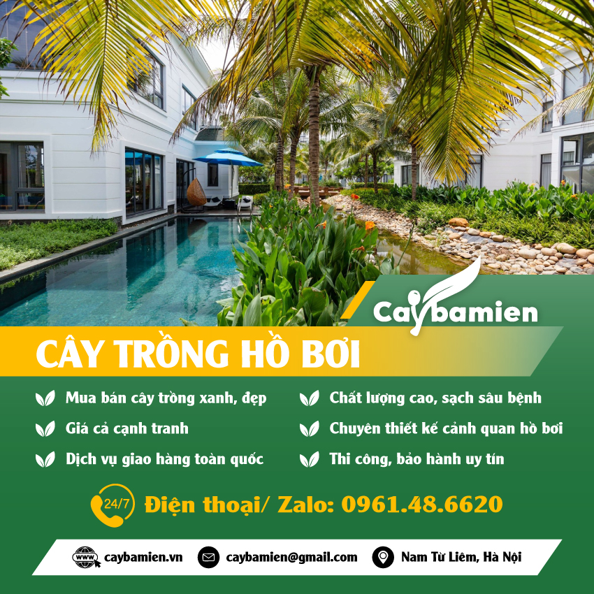 Ảnh đại diện mobile danh mục Cây trồng hồ bơi