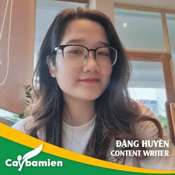 Đặng Huyền Content Writer Web Site