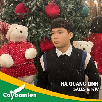 Hà Quang Linh - Sales và chuyên viên tư vấn cây xanh