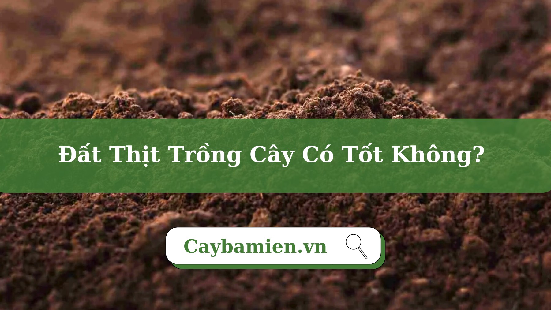 Đất thịt trồng cây xanh công trình, cây cảnh quan sân vườn