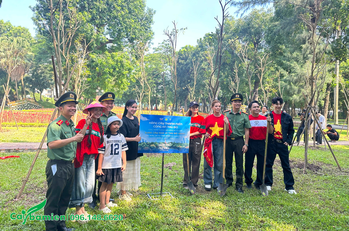 Cung cấp cây cho công trình trồng 8000 cây hoa vì thành phố xanh